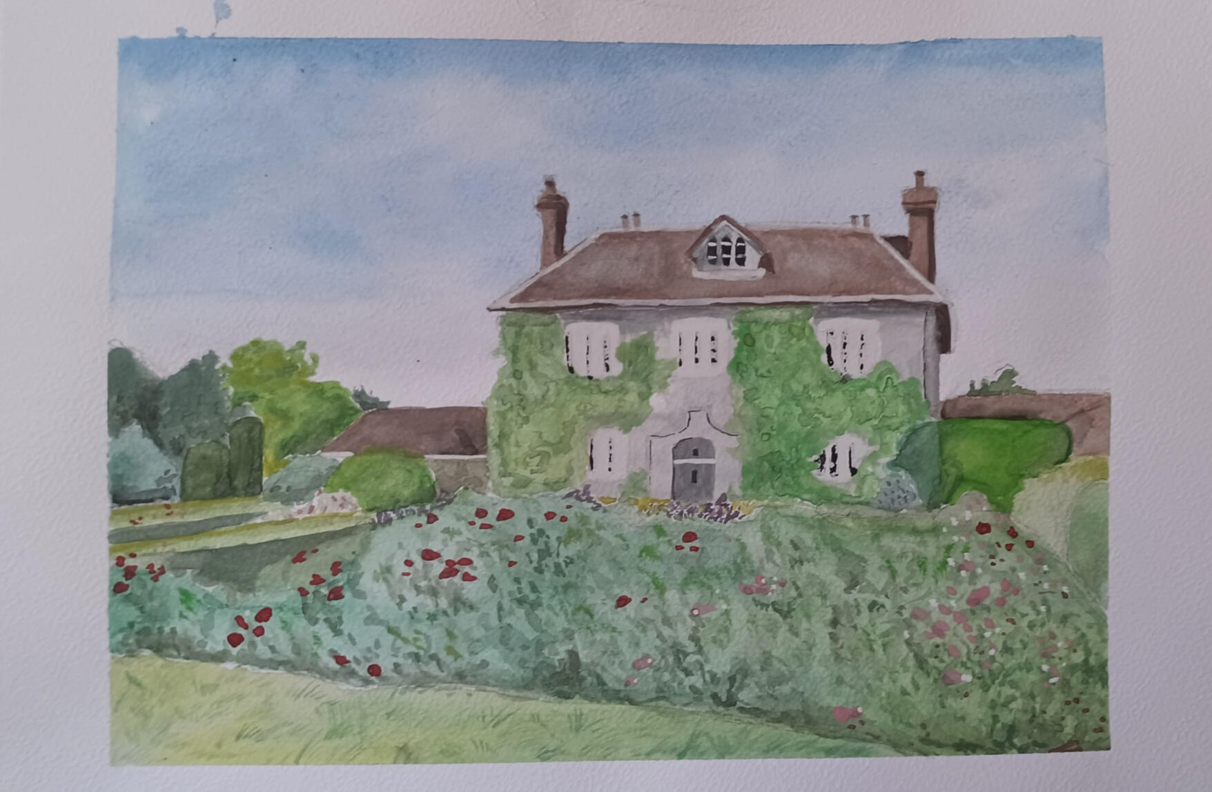 Watercolor Watercolor