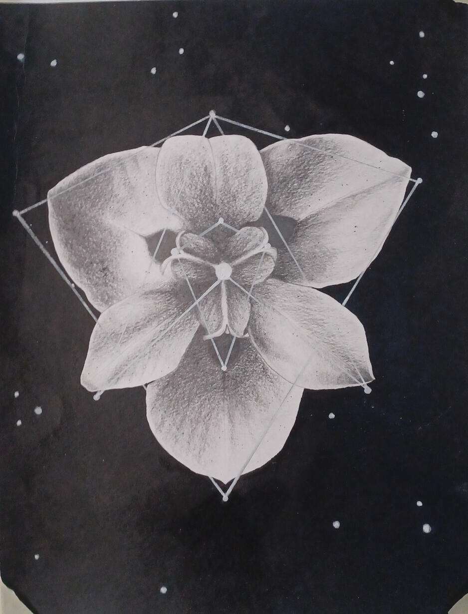 Space flower Space flower